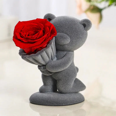 Discover ramiart free shipping